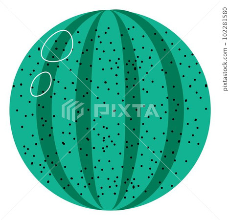 Whole watermelon exotic fruit, ripe berry vector 102281580