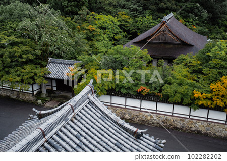 Kyoto in summer, Tenjuan seen from Nanzenji Sanmon Gate 102282202