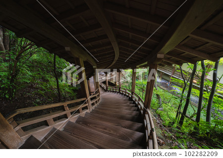Summer Kyoto Eikando Zenrinji Temple's Garyu Corridor 102282209