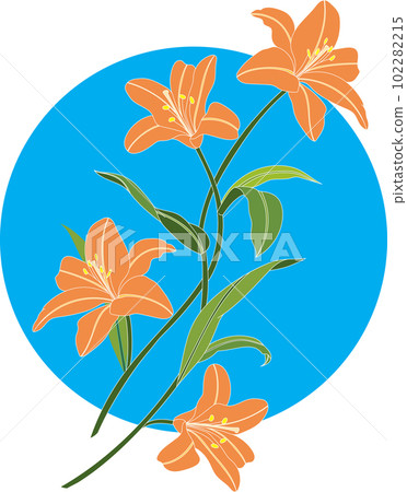 Illustration bouquet of orange lily flower on blue circle background. 102282215