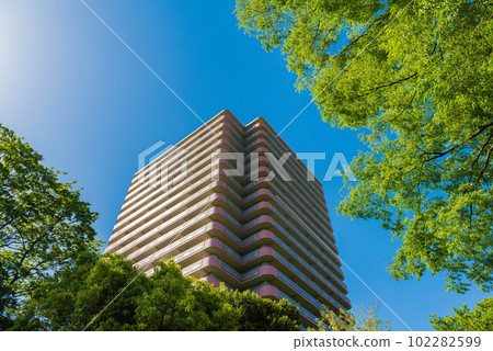 松戶市相模台,綠樹環繞的郊區高樓公寓 松戶市相模台,綠樹環繞的郊區高樓公寓 102282599