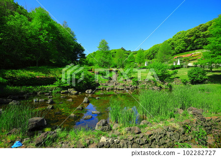 [Hyogo Prefecture] Awaji Highway Oasis Flower Valley in fine weather 102282727