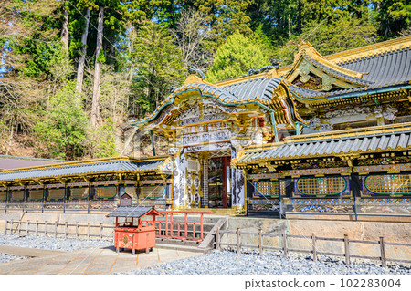 Spring Nikko Toshogu Karamon Gate, Nikko City, Tochigi Prefecture 102283004