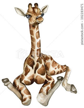Watercolor giraffe illustration, Cartoon tropical animal , exotic summer jungle design.Hand drawn. Designf for baby shower party, birthday, cake, holiday celebration design, greetings card,invitation. 102283471