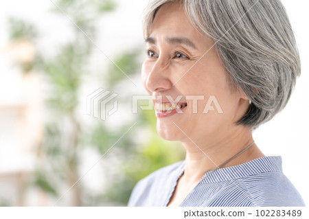 美容高級女性肖像 102283489