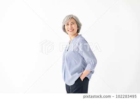 美容高級女性肖像 102283495