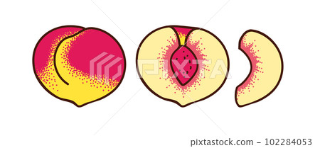 Whole peach and two types of slices isolated on white. Half and slice of peach. Vector illustration engraving style. Whole peach and two types of slices isolated on white. Half and slice of peach. Vector illustration engraving style. 102284053