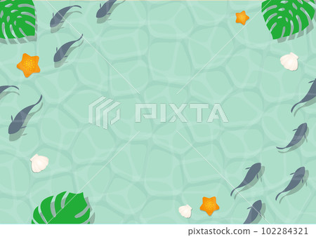 Background material of summer image sea, fish, starfish and shellfish Background material of summer image sea, fish, starfish and shellfish 102284321