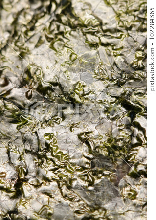The surface texture of delicious, auspicious, high-quality roasted seaweed (close-up photo taken with MacroReds) 102284365