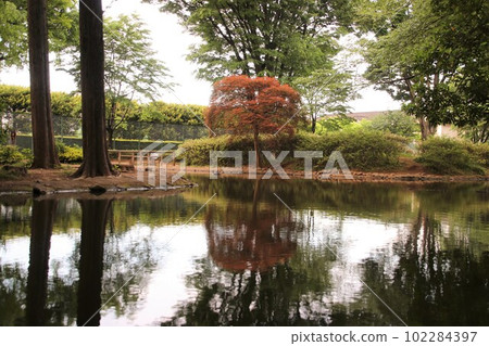A water park with a pond in Kodaira City 102284397