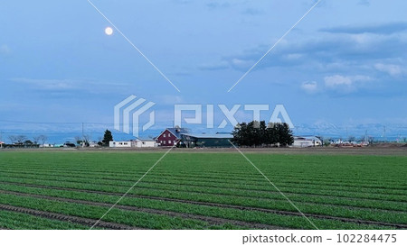 Dusk in Hokkaido in early summer 102284475