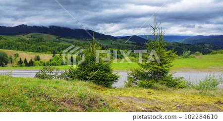 mountainous carpathian countryside in the morning. perfect outdoor experience in nature 102284610