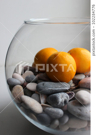 Side View Of Half Filled Of Smooth Pebbles Glass Vase With Ripe Yellow Lemon Fruits Inside Side View Of Half Filled Of Smooth Pebbles Glass Vase With Ripe Yellow Lemon Fruits Inside 102284776