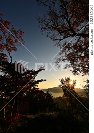 Sea of clouds from Yakami Castle 102285165