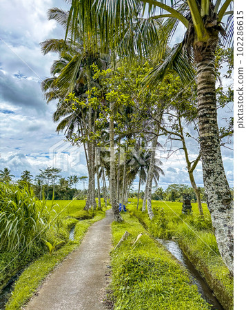 Pura Gunung Kawi Sebatu Gianyar temple in Ubud, Bali, Indonesia 102286615