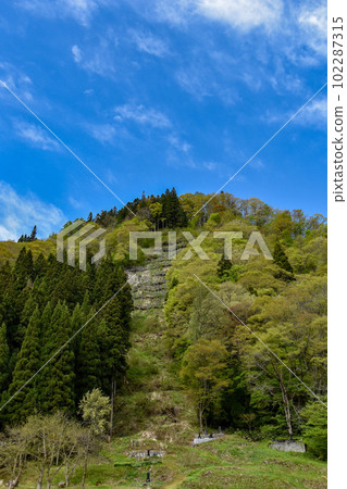新鮮的綠色山和藍天 102287315