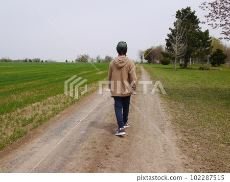 A boy walking on a peaceful road (back view) 102287515
