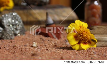 Yellow Flower With Pyrite Rocks and Crystals on Australian Red Sand 102287681