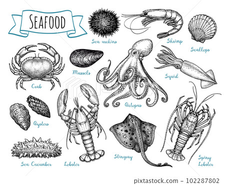 Seafood ink sketch set. 102287802