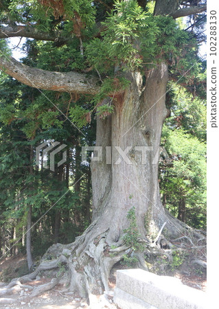 Mount Hiei on the Kyoto Round Trail 102288130