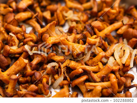delicious forest mushrooms chanterelles fried in frying pan delicious forest mushrooms chanterelles fried in frying pan 102288802