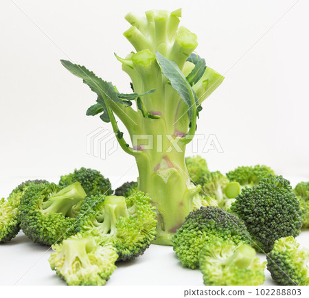 broccoli trunk and inflorescences lying nearby on white background broccoli trunk and inflorescences lying nearby on white background 102288803