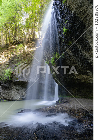 Fresh green Tsukimachi Waterfall (back side) Fresh green Tsukimachi Waterfall (back side) 102288976