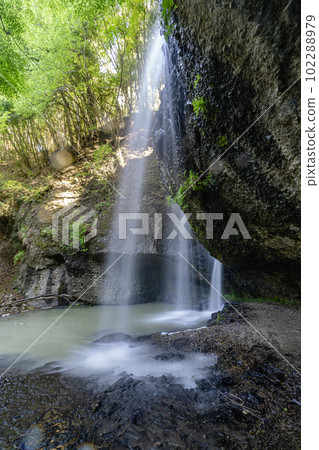 Fresh green Tsukimachi Waterfall (back side) Fresh green Tsukimachi Waterfall (back side) 102288979