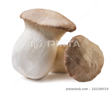 Two eringi mushrooms close-up on a white background. 102289319