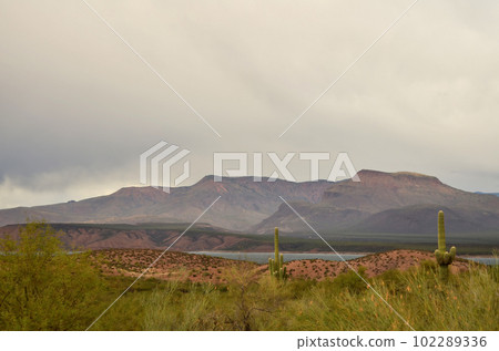 Cloudy day Roosevelt Lake Arizona Cloudy day Roosevelt Lake Arizona 102289336