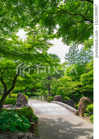 新綠德川園<愛知縣名古屋市> 新綠德川園<愛知縣名古屋市> 102289907