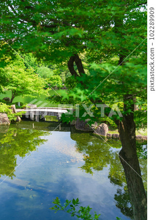 新綠德川園<愛知縣名古屋市> 新綠德川園<愛知縣名古屋市> 102289909