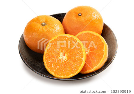 芸香科柑橘,kala mandarin 芸香科柑橘,kala mandarin 102290919