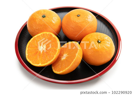 芸香科柑橘，kala mandarin 102290920