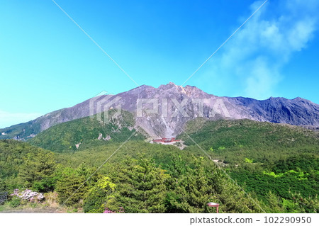 [Kagoshima Prefecture] Sakurajima seen from Yunohira Observatory on a sunny day 102290950