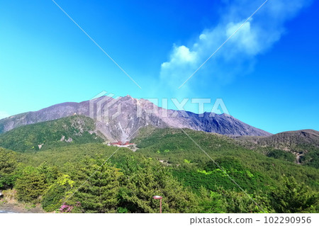 [Kagoshima Prefecture] Sakurajima seen from Yunohira Observatory on a sunny day 102290956