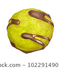 matcha chocolate cookie 102291490