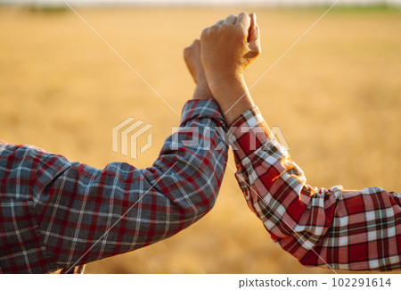 Farmers in sterile medical masks on his face greet their elbows on a wheat field. Elbow bump. 102291614