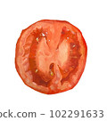 Cross section of tomato 102291633