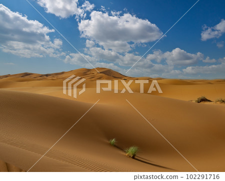 Majestic beautiful scene of Merzouga dunes of Sahara desert Morocco. Majestic beautiful scene of Merzouga dunes of Sahara desert Morocco. 102291716