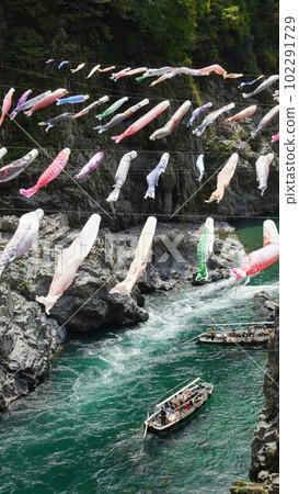 吉野川上的鯉魚旗[德島縣三好市大步危] 5 102291729