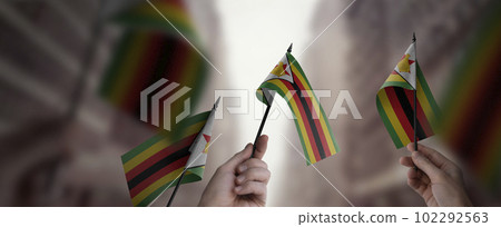 A group of people holding small flags of the Zimbabwe in their hands A group of people holding small flags of the Zimbabwe in their hands 102292563