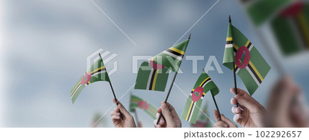 A group of people holding small flags of the Dominica in their hands A group of people holding small flags of the Dominica in their hands 102292657