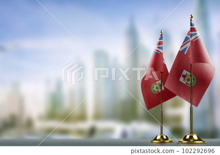 Small flags of the Bermuda on an abstract blurry background 102292696