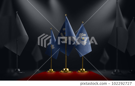 The CIS national flag on the red carpet 102292727