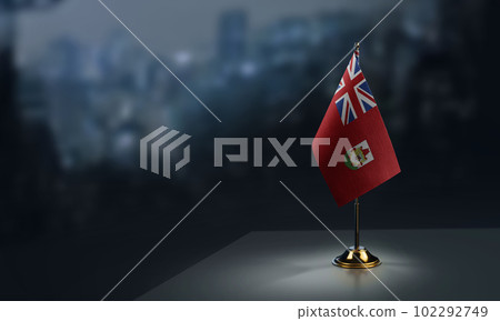 Small flags of the Bermuda on an abstract blurry background 102292749