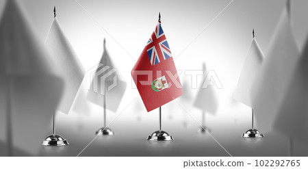 The national flag of the Bermuda surrounded by white flags The national flag of the Bermuda surrounded by white flags 102292765