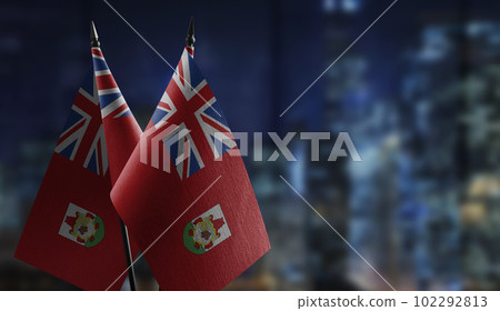 Small flags of the Bermuda on an abstract blurry background 102292813