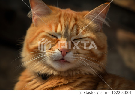 Cat with yuck grimace. Kitten face with negative reaction. Generated AI. 102293001