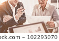senior business colleagues work in the office. 102293070